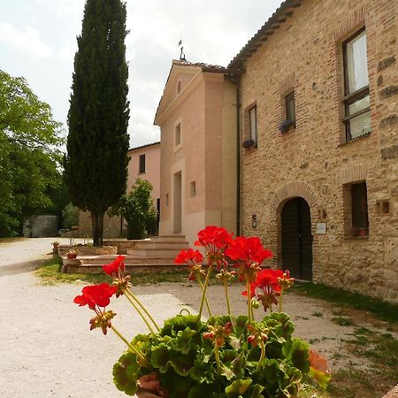 Marco & Andrea Agriturismo Амелиа Екстериор снимка