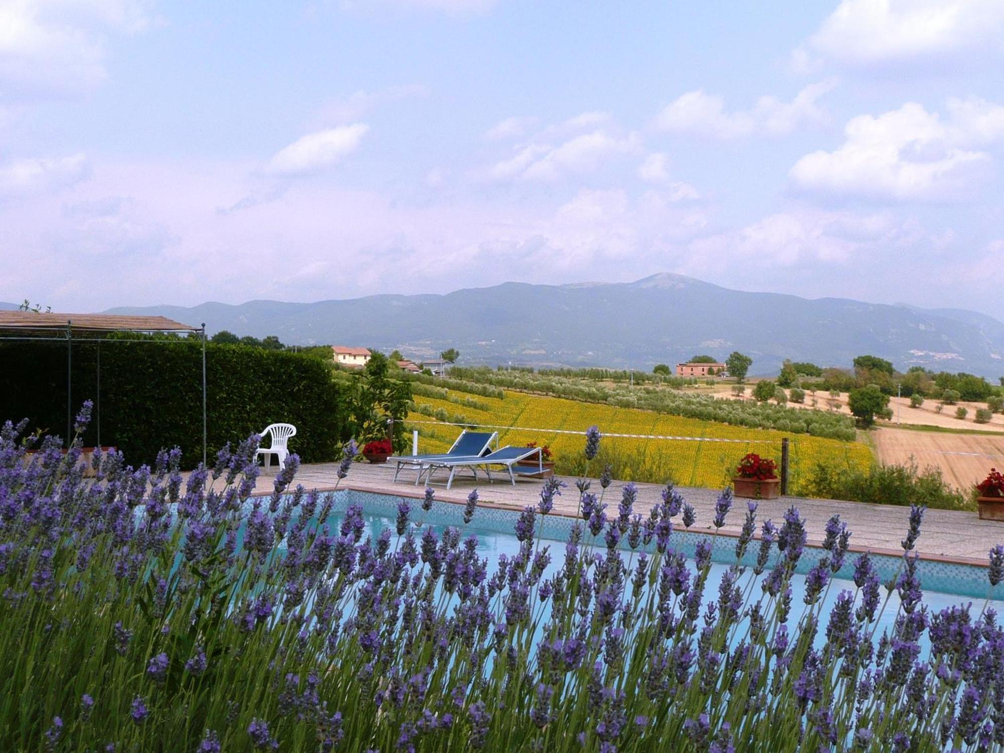 Marco & Andrea Agriturismo Амелиа Екстериор снимка