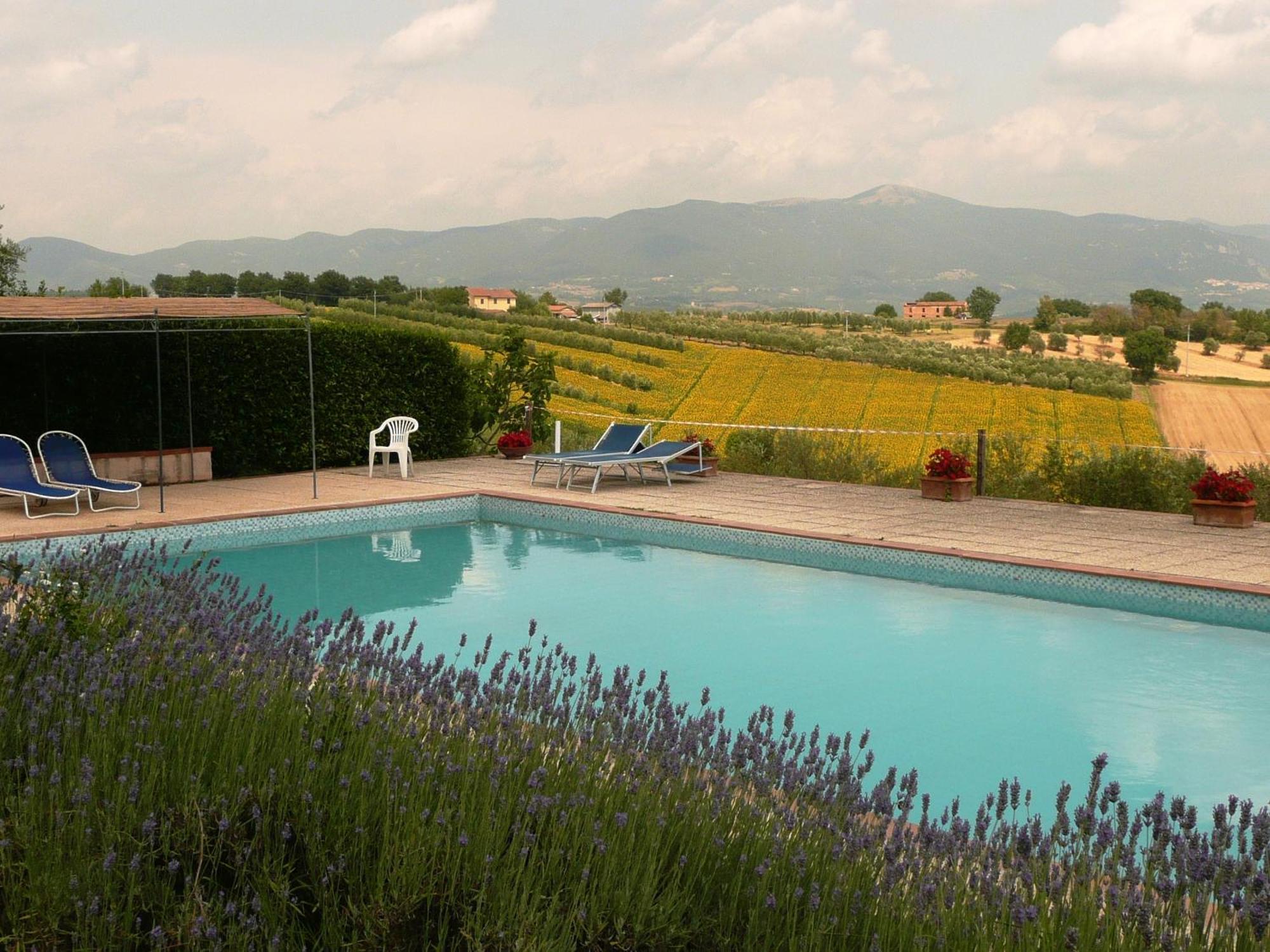 Marco & Andrea Agriturismo Амелиа Екстериор снимка