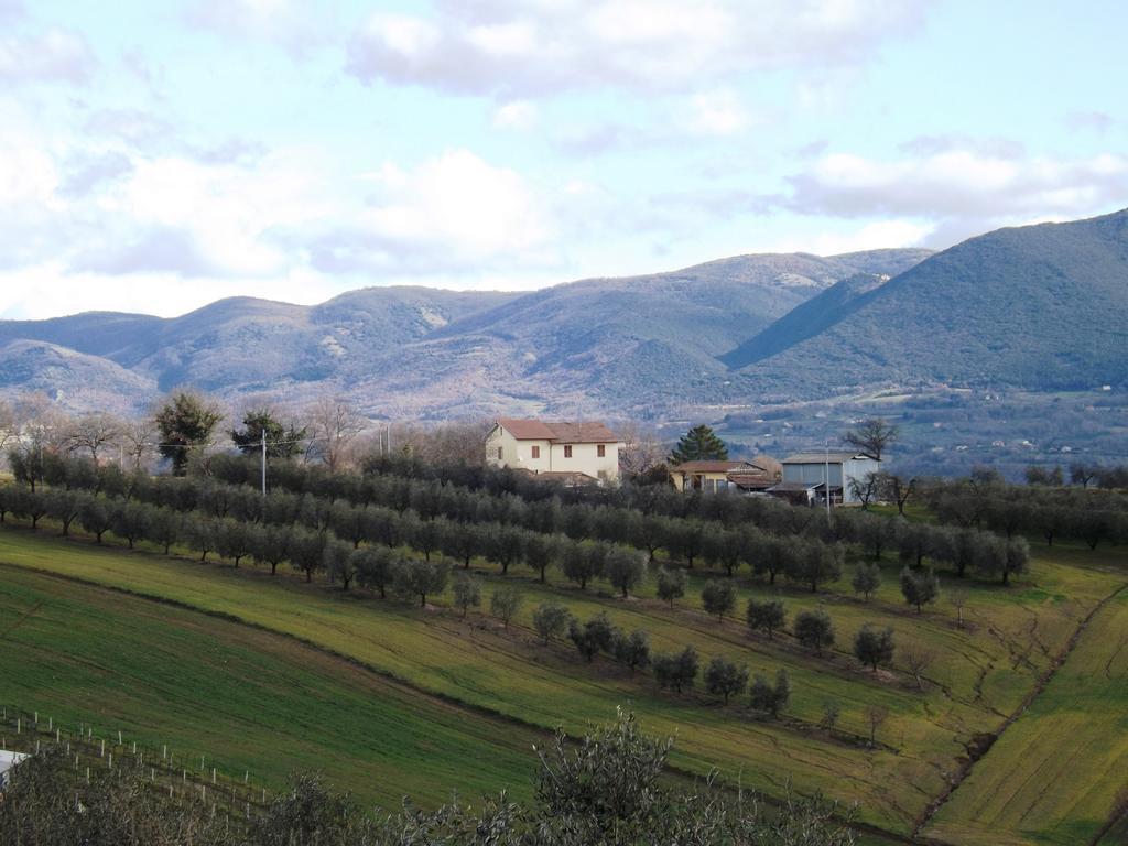 Marco & Andrea Agriturismo Амелиа Екстериор снимка