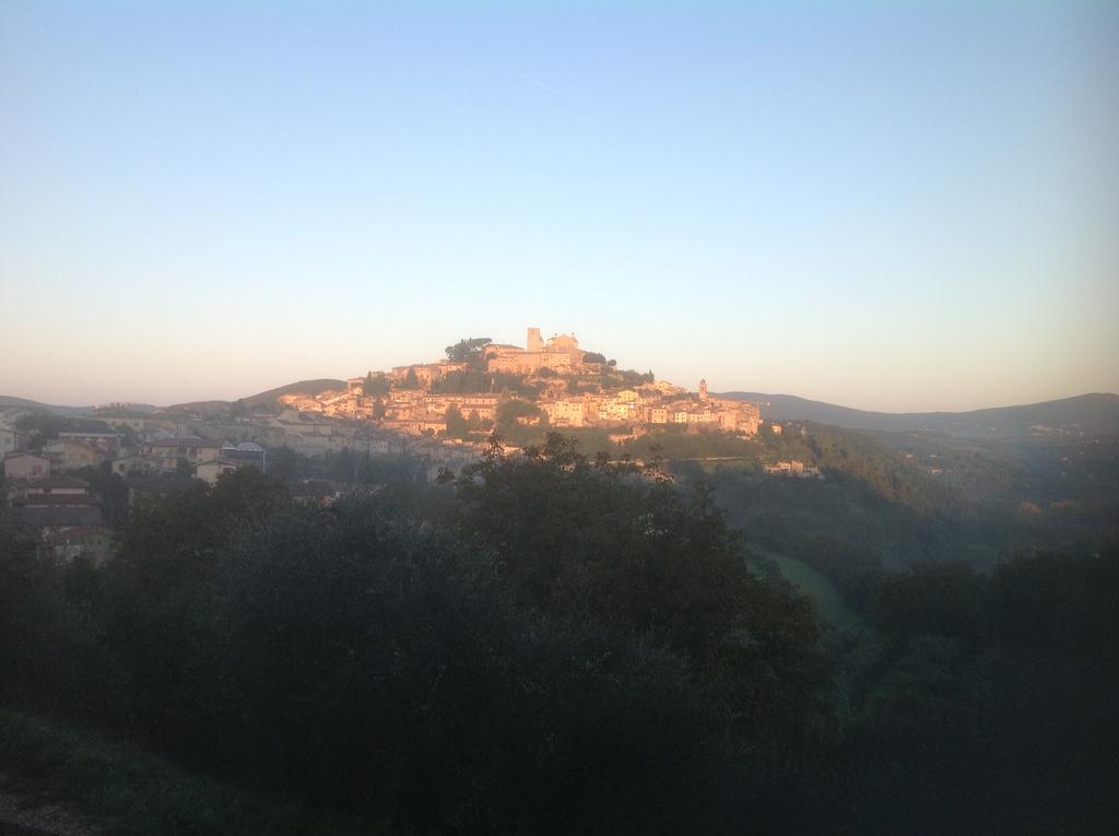 Marco & Andrea Agriturismo Амелиа Екстериор снимка