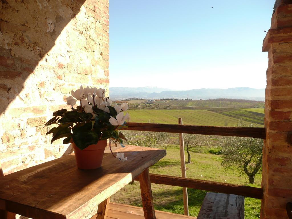 Marco & Andrea Agriturismo Амелиа Екстериор снимка