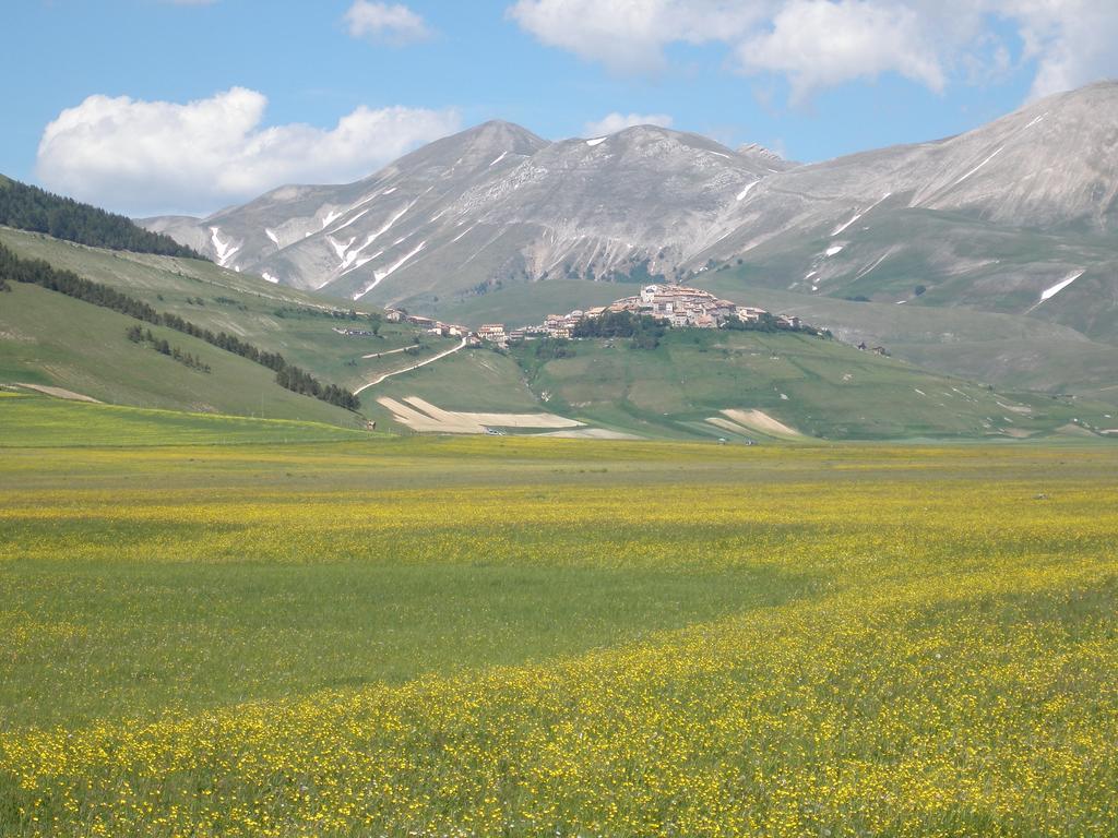 Marco & Andrea Agriturismo Амелиа Екстериор снимка