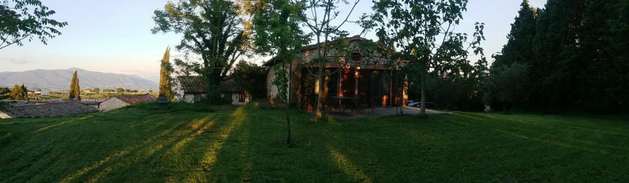 Marco & Andrea Agriturismo Амелиа Екстериор снимка