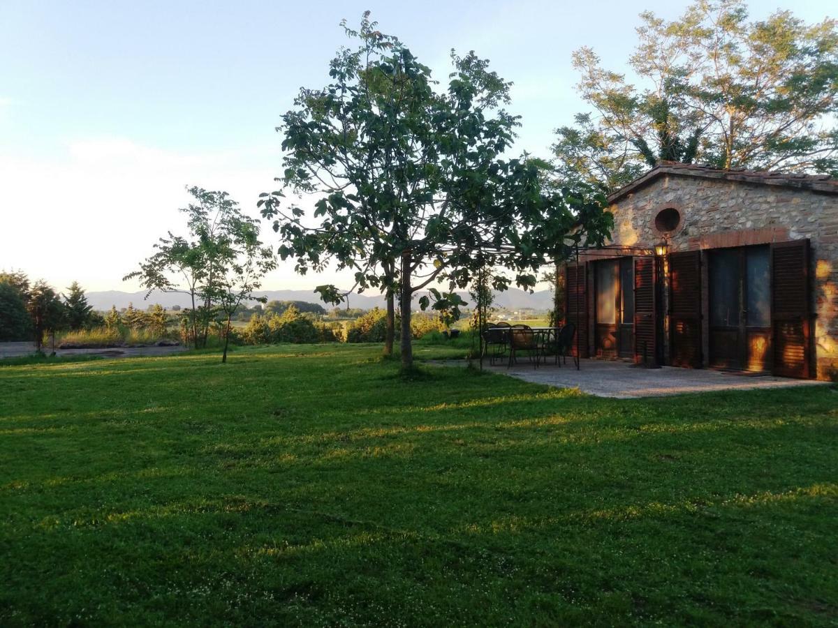 Marco & Andrea Agriturismo Амелиа Екстериор снимка