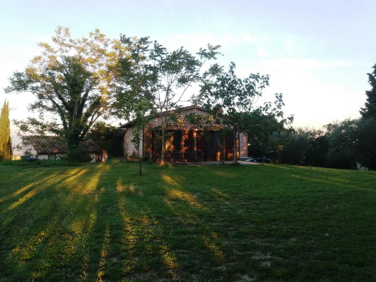 Marco & Andrea Agriturismo Амелиа Екстериор снимка